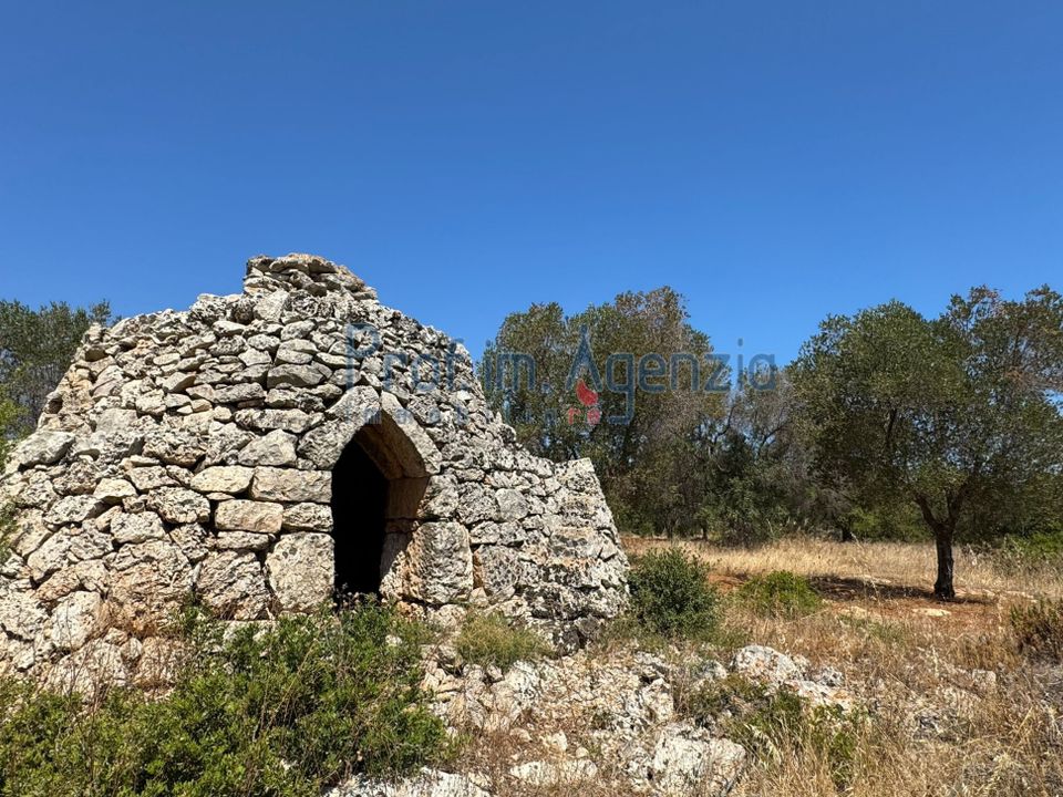 Helårsgrund i Carovigno, Brindisi - foto 1